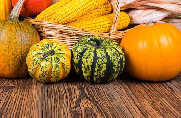 Autumn harvest festival motive with two different gorgonzola pumpkins and others in front of a basket with corn cobs on a rustic wooden background with copy space in the lower area of the picture — Stock Photo, Image