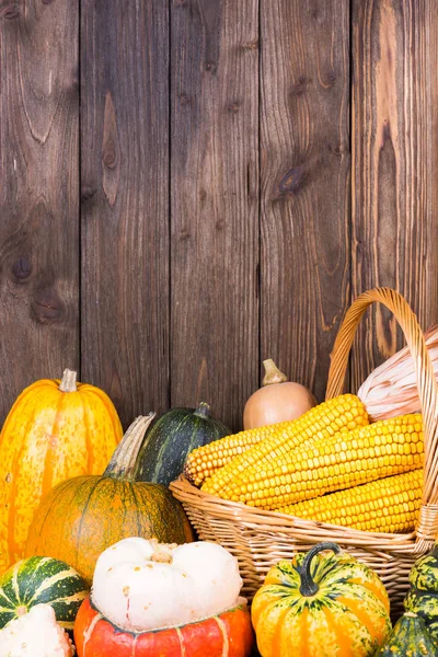 Autumn Thanksgiving motive with a basket full with corn cobs and different colorful pumpkins on an old rustic wooden background with copy space in the upper area of the picture — Stock Photo, Image