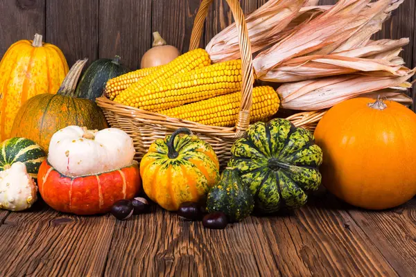 Autumn Thanksgiving motive with a basket full with corn cobs and different colorful pumpkins and chestnuts on an old rustic wooden background with copy space in the lower area — Stock Photo, Image