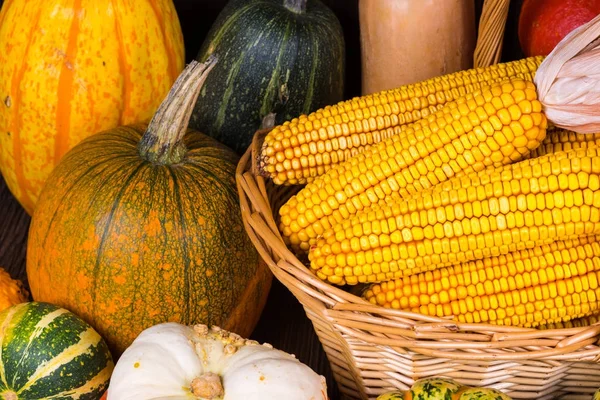 Bir sepet mısır koçanı ve rustik ahşap arka plan üzerinde farklı renkli kabak ile dolu ile sonbahar Şükran güdü
