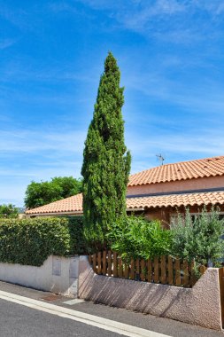 Bir bahçe bitkileri Gruissan, Güney Fransa Les Ayguades beldesinde ile görünümünü