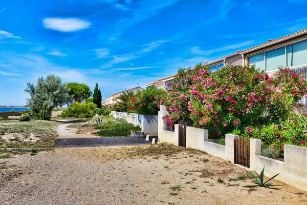 Květiny, rostliny a stromy podél zahrady rekreačních domů ve středisku Les Ayguades poblíž města Gruissan v jižní Francii — Stock fotografie