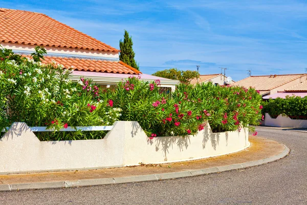 Вид на красивый цветущий сад из дома отдыха в Ле-Айгуаде в Грюиссане, на юге Франции — стоковое фото