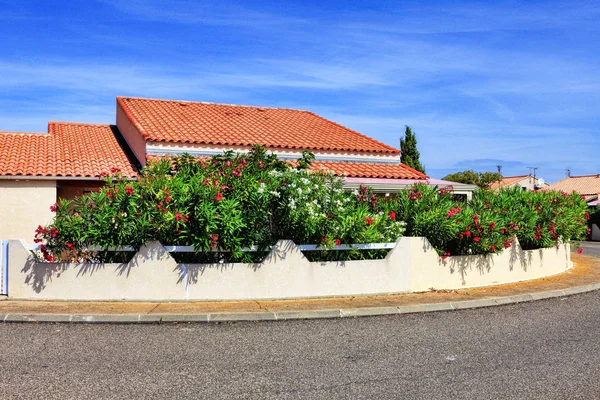 Vista de un hermoso jardín colorido desde una casa de vacaciones en Les Ayguades en Gruissan, sur de Francia — Foto de Stock