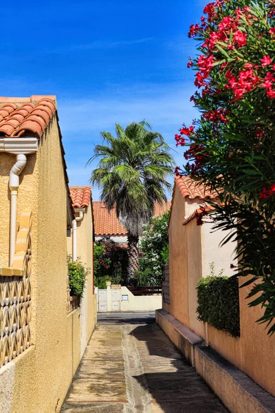 Wąską ścieżką między dwa domki z palmą na końcu w Les Ayguades w pobliżu południowej francuskie miasto Gruissan — Zdjęcie stockowe