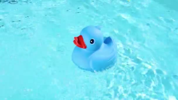 Синя Гумова Качка Легко Плавати Кришталево Чистій Воді Басейну Літньому — стокове відео