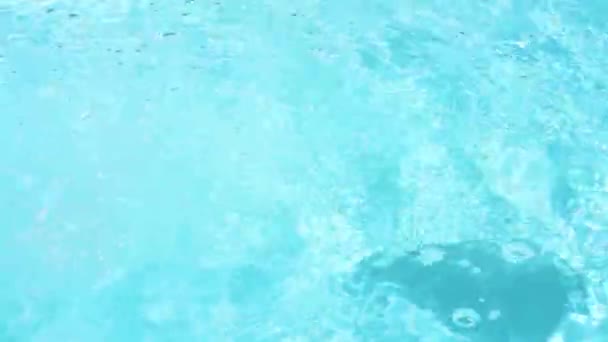 Single Black Rubber Duck Swimming Right Left Crystal Clear Pool — Stockvideo
