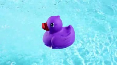 A purple rubber duck floats into the picture from below and then floats leisurely on the crystal clear water of a pool