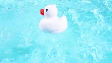 A white rubber duck swims and drifts easily on the crystal clear water of a pool with reflecting sunbeams
