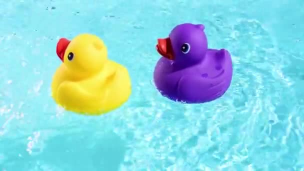 Une Dérive Canard Caoutchouc Jaune Violet Détendue Décontractée Sur Eau — Video