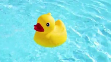 A yellow rubber duck can drift relaxed on the sparkling and crystal-clear water of a pool in the summer light