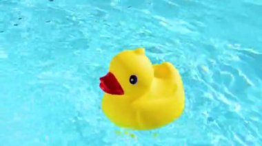 A yellow rubber duck can drift relaxed on the sparkling and crystal-clear water of a pool in the summer light