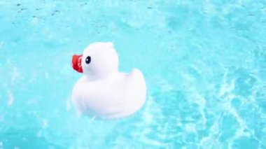 A white rubber duck floats easily and swims out of the picture to the right, on the crystal clear water of a pool with reflecting sunrays