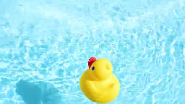 Yellow Rubber Duck Floating Relaxed Casually Sparkling Crystal Clear Water — Stock Video