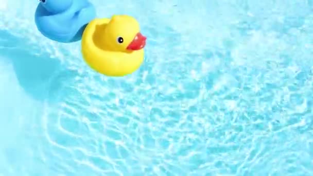 Yellow Blue Rubber Duck Can Relaxed Casually Drifted Back Forth — 图库视频影像