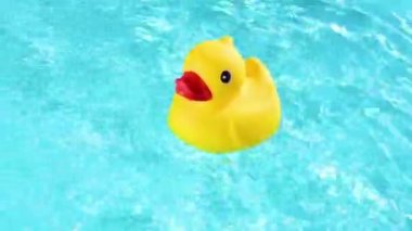 A yellow rubber duck can drift relaxed on the sparkling and crystal-clear water of a pool in the summer light
