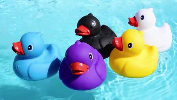 Cinco Patos Goma Colores Flotando Relajados Casualmente Agua Brillante Cristalina — Vídeos de Stock