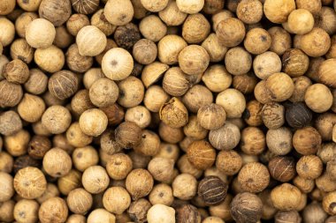 Baharat arka planı, bir sürü beyaz biber tanesinden yapılmış arka plan, yakın plan, üst görünüm.