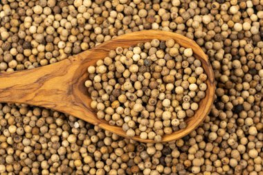 Baharat arka planı, bir sürü beyaz biberlikten yapılmış arka plan ve zeytin ağacından yapılmış bir yemek kaşığı, beyaz biberlerle dolu, yakın plan, üst manzara.