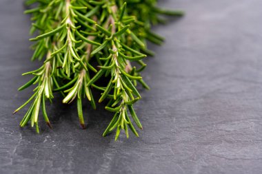 Siyah bir arkaplanda taze biberiye dallarının yakın plan görüntüsü