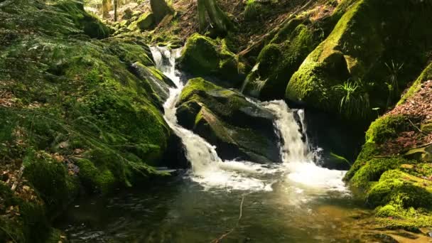 Vista Uma Pequena Cachoeira Cascata Floresta Negra Uma Bela Paisagem — Vídeo de Stock