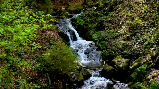 本物の音で春の美しい風景の中に黒い森の滝のカスケードショットを追跡 — ストック動画