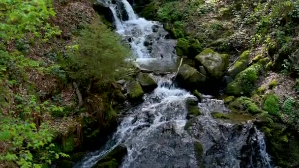 Captura Seguimiento Una Cascada Cascada Selva Negra Hermoso Paisaje Primavera — Vídeos de Stock