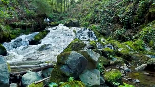 Vista Aérea Sobre Torrente Con Pequeñas Cascadas Agua Selva Negra — Vídeos de Stock