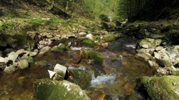 Vista Aérea Sobre Uma Torrente Com Pequenas Cascatas Água Floresta — Vídeo de Stock