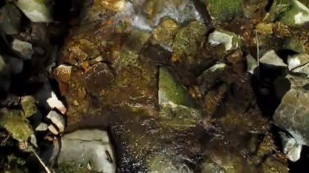 在春天的美丽风景中 在黑森林里 快速的空中俯瞰着有小瀑布的洪流的近景 — 图库视频影像