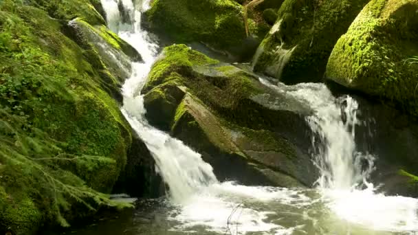 Widok Małego Kaskadowego Wodospadu Czarnym Lesie Pięknym Krajobrazie Prawdziwym Dźwiękiem — Wideo stockowe
