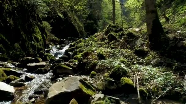 在美丽的风景中 俯瞰黑森林中一个小瀑布的岩石激流的快速鸟瞰 — 图库视频影像