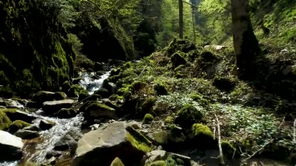 Vue Aérienne Rapide Sur Torrent Rocheux Avec Petites Chutes Eau — Video