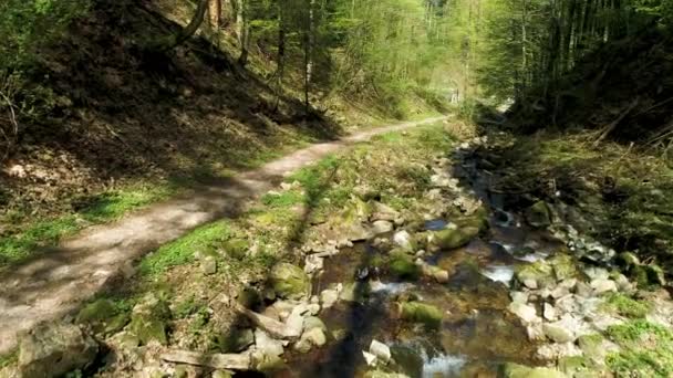 Snabb Flygutsikt Över Stenig Flod Med Små Vattenfall Och Vandringsled — Stockvideo