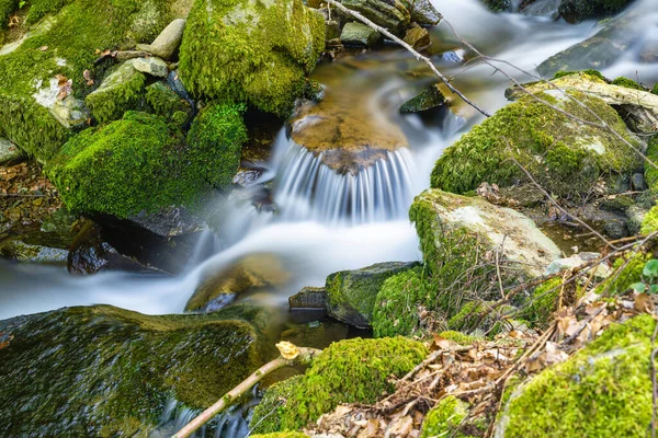 Vista Una Cascada Pequeña Selva Negra Hermoso Paisaje — Foto de Stock