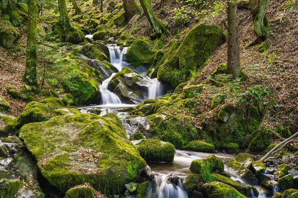 Long time exposure of a small waterfall with cascades in the heart of the Black Forest with beautiful color mood in spring