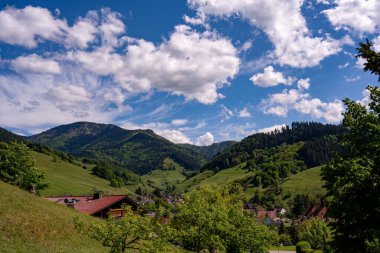 Küçük bir köy olan Muenstertal yakınlarındaki Kara Orman 'da dağlar ve orman ile yürüyüş ve tatil için güzel bir manzara.