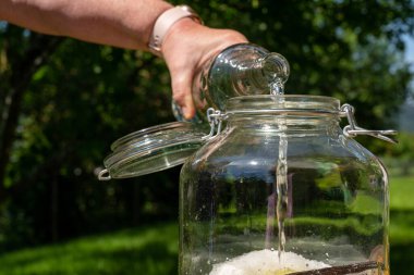 Votkayı taze elder çiçekleri, portakallar, limon dilimleri, şeker ve yaşlı çiçek likörü için vanilya kabıyla birlikte büyük muhafaza kavanozuna dök.