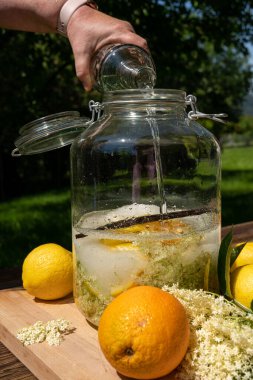 Votkayı taze elder çiçekleri, portakallar, limon dilimleri, şeker ve yaşlı çiçek likörü için vanilya kabıyla birlikte büyük muhafaza kavanozuna dök.