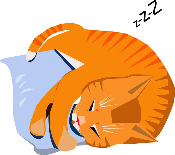 Red cat and PILLOW — Stock Vector