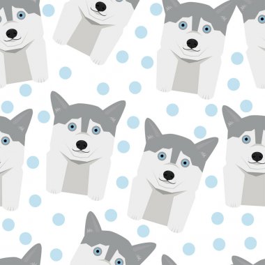 Husky desen ve polka dot