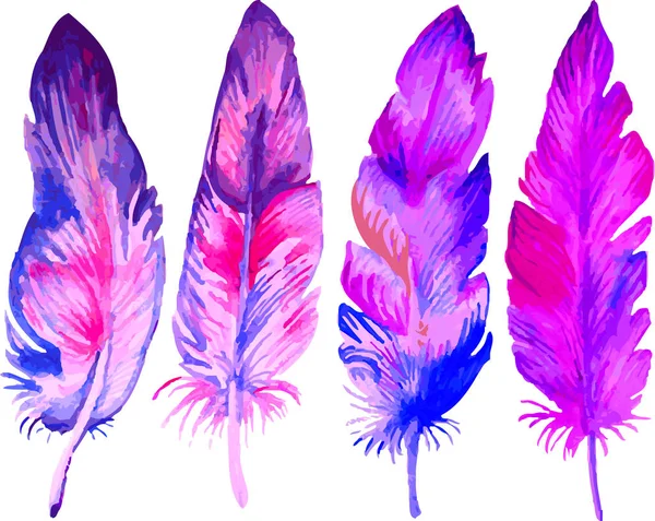 Plumas Multicolores Hermosas Brillantes Sobre Fondo Blanco — Vector de stock