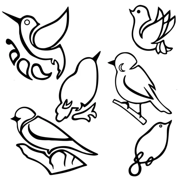 Uppsättning Svarta Och Vita Fåglar Isolerade Vit Bakgrund — Stock vektor