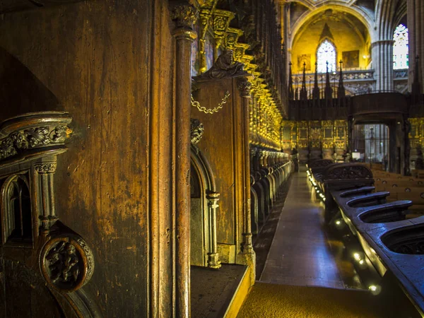 Barselona Katedrali altın renk