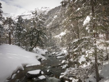 Ana nehir boyunca pont d'espagne (Cauterets, Fransa)