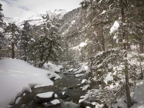 Ana nehir boyunca pont d'espagne (Cauterets, Fransa)
