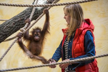 Animal trainer and a monkey in the zoo 