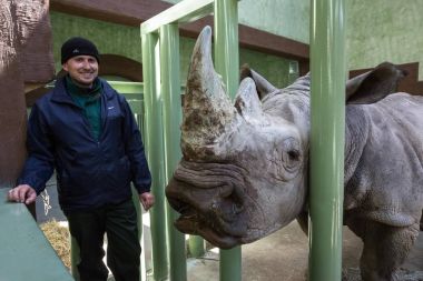 Hayvanat Bahçesi işçi ve beyaz gergedan Hayvanat Bahçesi 