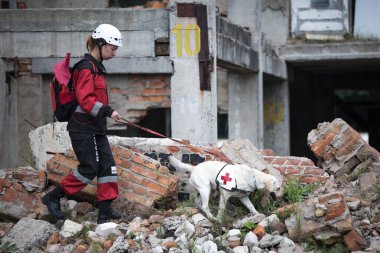 Doktor bir köpekle Sumy bölgesi, Ukrayna devlet acil servisin Eğitim Merkezi egzersizler sırasında kurban moloz altında arıyorum