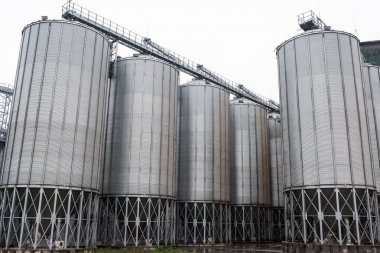 Tahıl asansörler tohum üreticisi, Ternopol region, Ukrayna